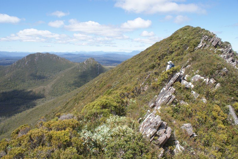 Pearse range.jpg