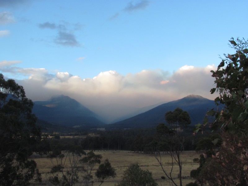 Collins Bonnet in smoke 2013 023.jpg