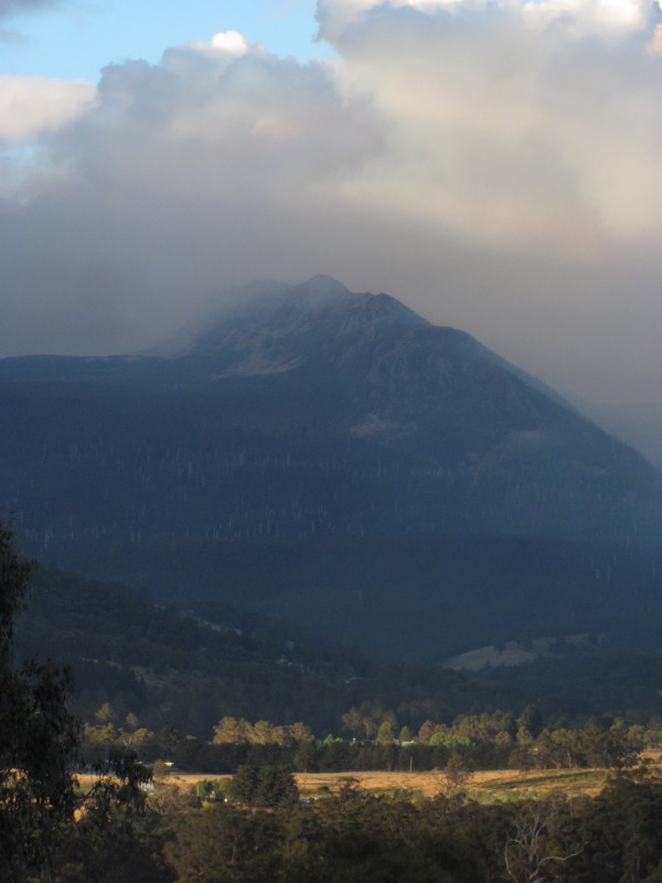 Collins Bonnet in smoke 2013 027.jpg