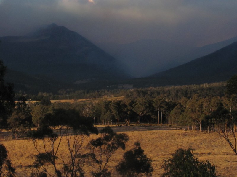 Collins Bonnet in smoke 2013 029.jpg