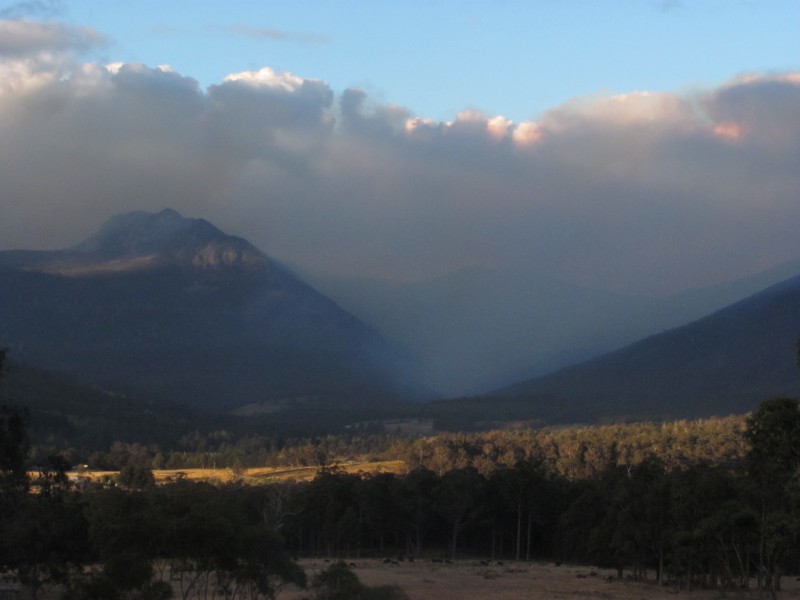 Collins Bonnet in smoke 2013 030.jpg