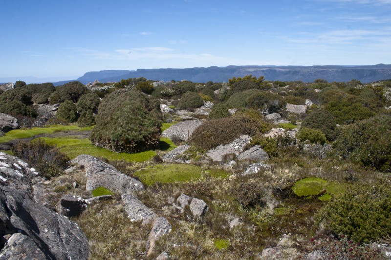 CRW_1497 MCP.jpg