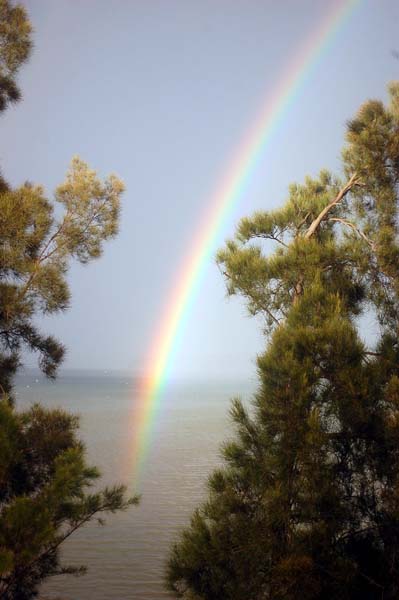 Lake Macquarie 580.jpg
