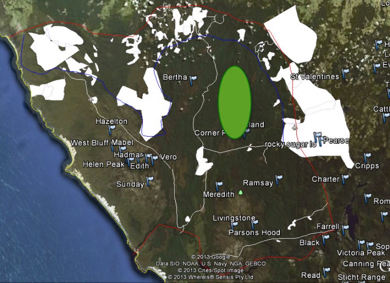 tarkine.jpg