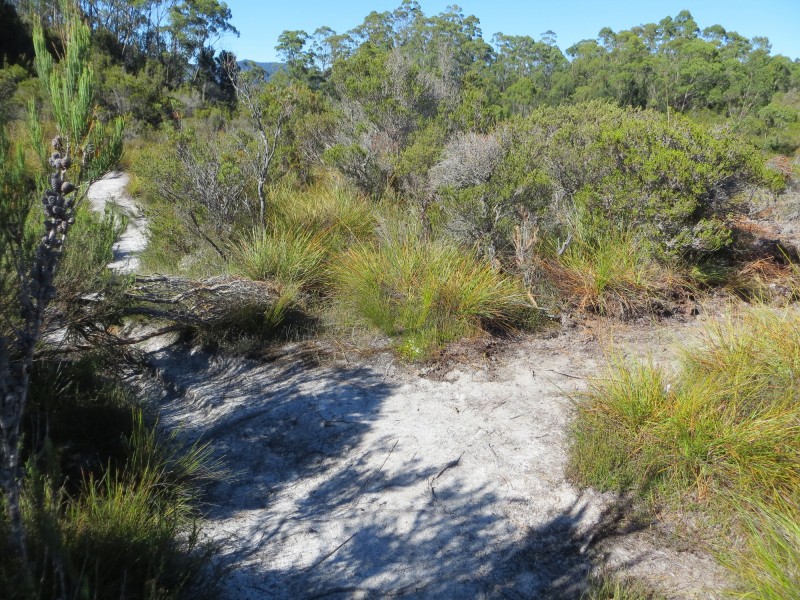 Old Loddens track and new track junction.jpg