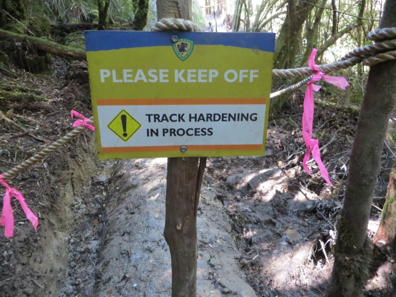 Philps Lead track hardening.jpg