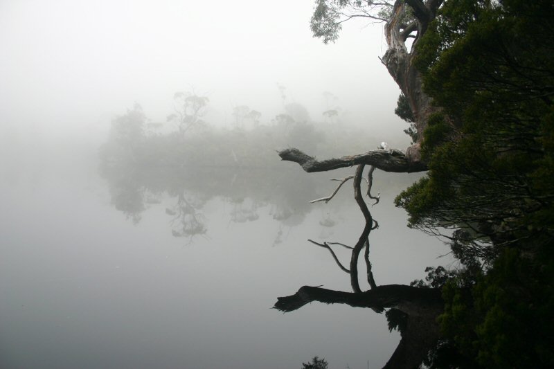 Wombat Tarn.JPG