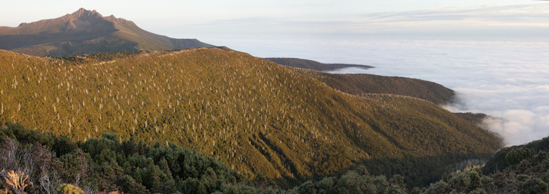 DSC04134_stitch.JPG