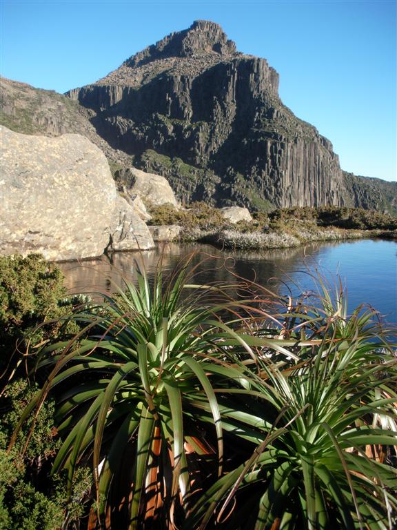 72 Mt Anne with rock pool in foreground portrait (Large).JPG