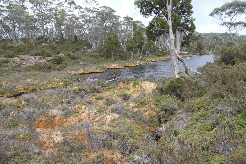Tiger Lake.jpg