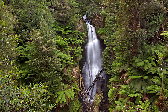 First creek Falls 2.jpg