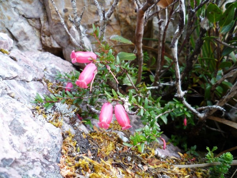 P1010474d.jpg