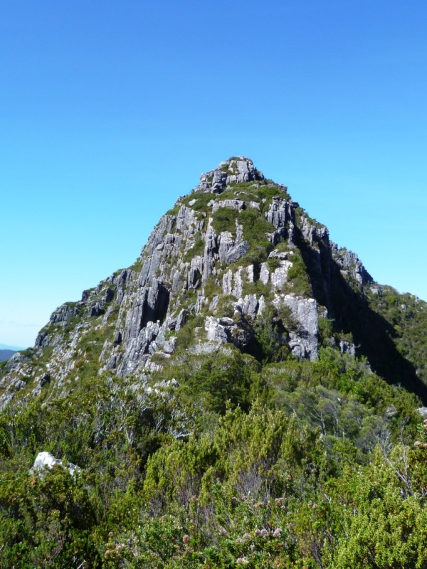 P1010492d.jpg