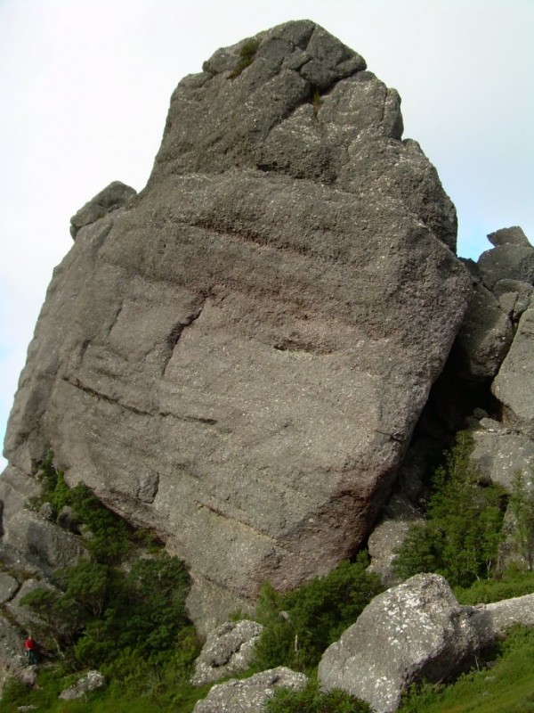 DSCN1903d.jpg