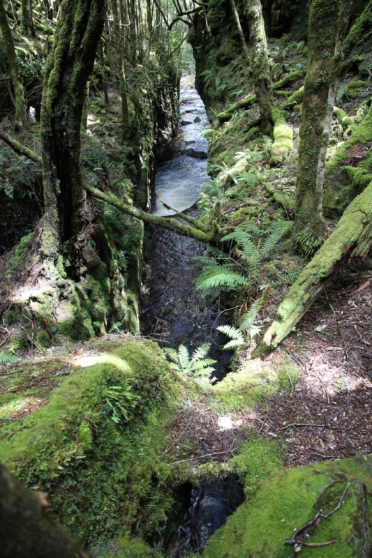 Mersey Gorge.JPG