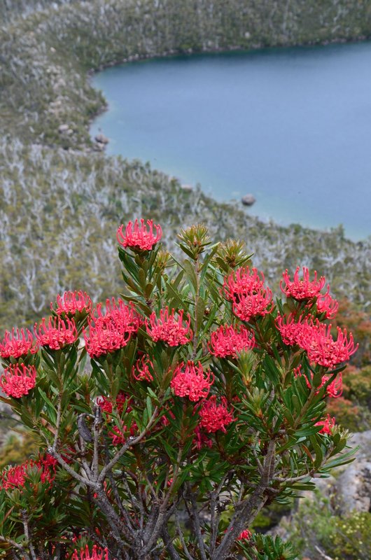 DSC_6472.JPG