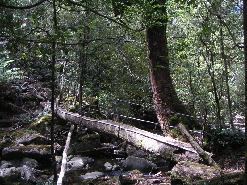 PICT3400_rs.jpg