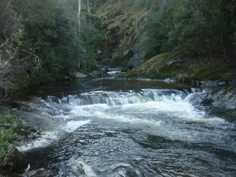 St Columba Falls (12).jpg
