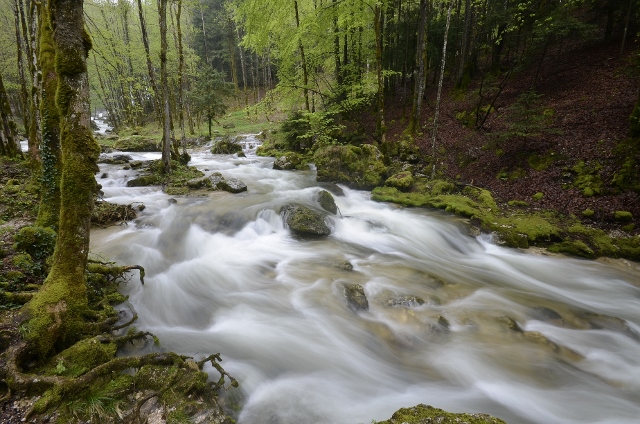 France 2013 - days 22,23,24 Cascades du Herisson 297 (640x424).jpg