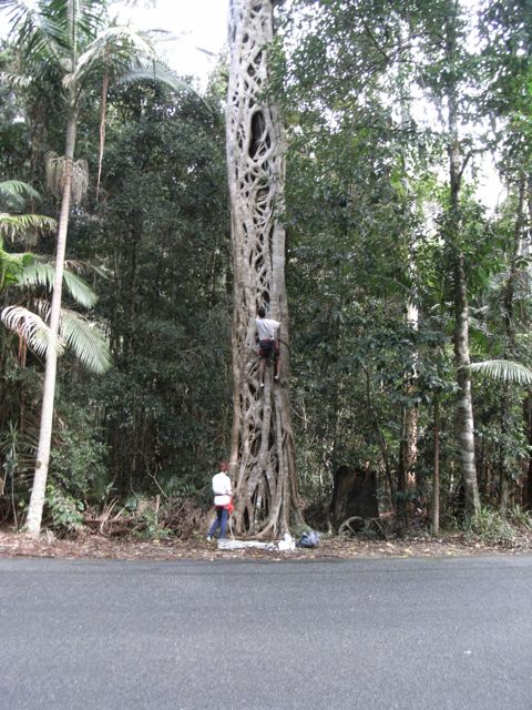 RIMG0158.jpg