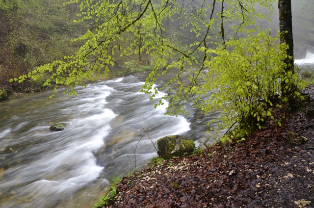 France 2013 - days 22,23,24 Cascades du Herisson 232 (640x424).jpg