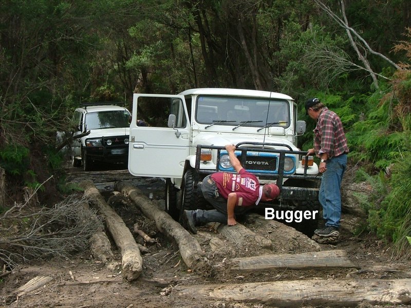 Image2.jpg
