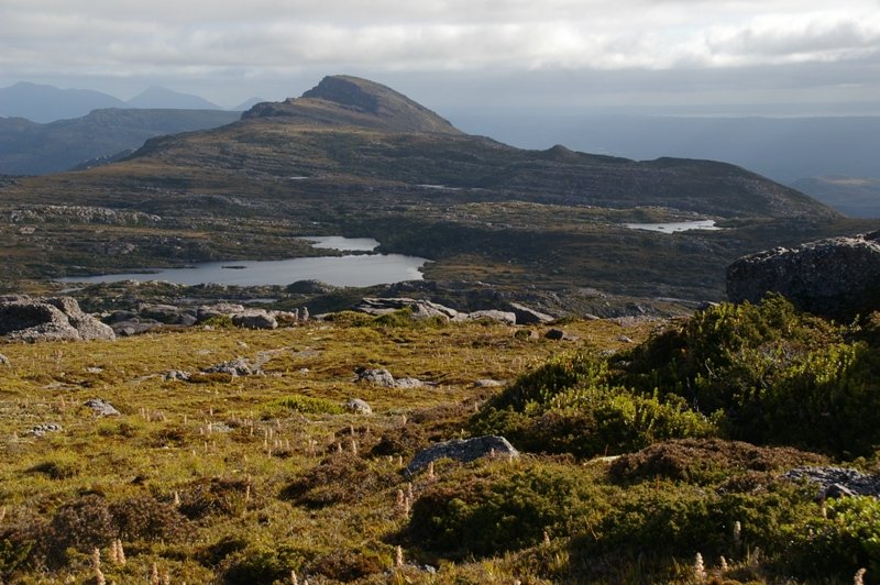 ViewSouth.JPG