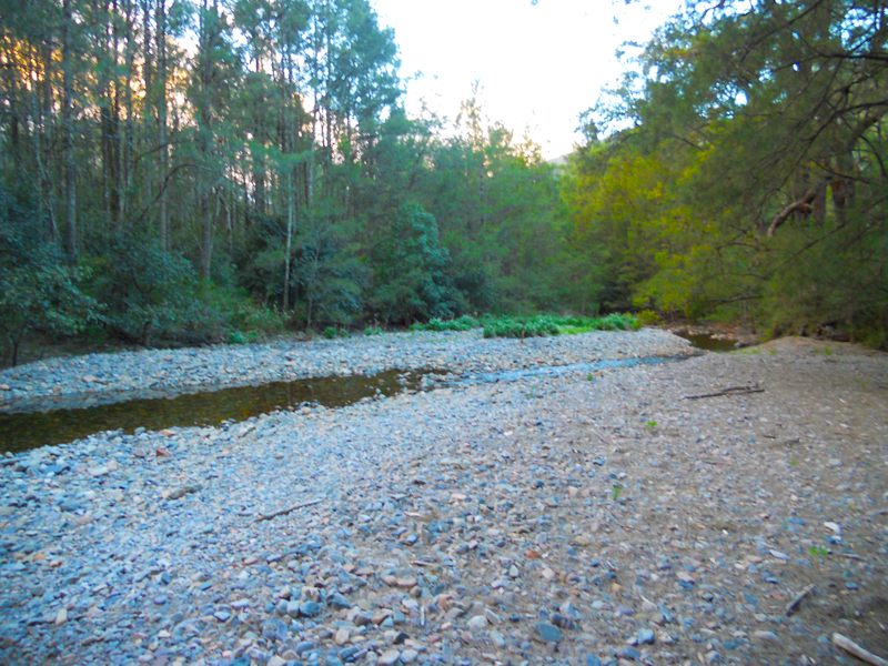 STREAM AT CAMP.jpg