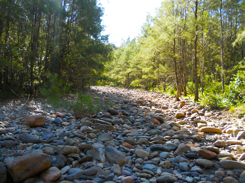 LOWER K CREEK.jpg