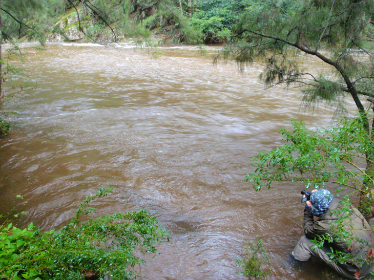 KANANGRA CROSSING AT CAMPSITE.jpg