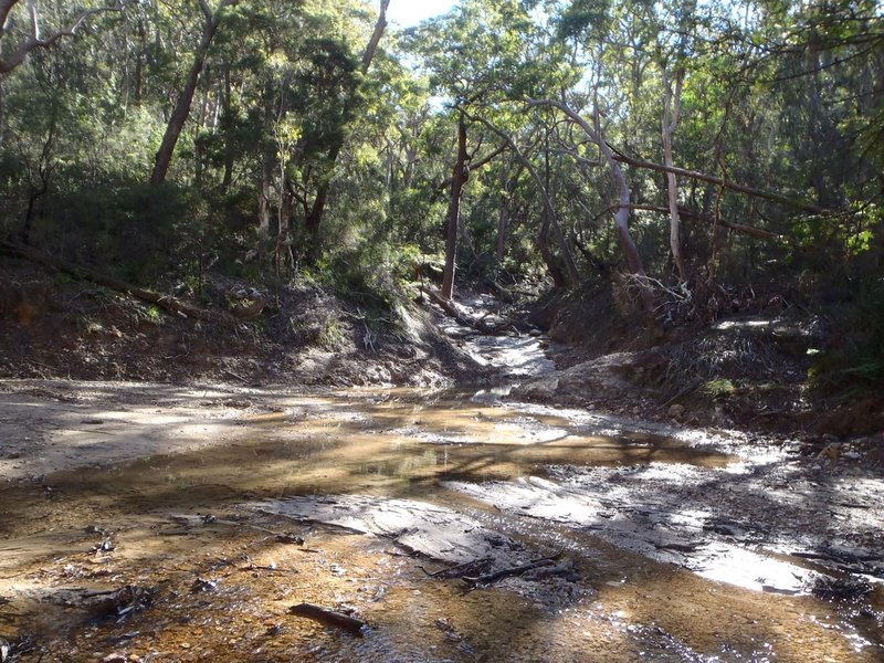 Sliprail Creek above the firetrail, amazing! (1457x1092).JPG