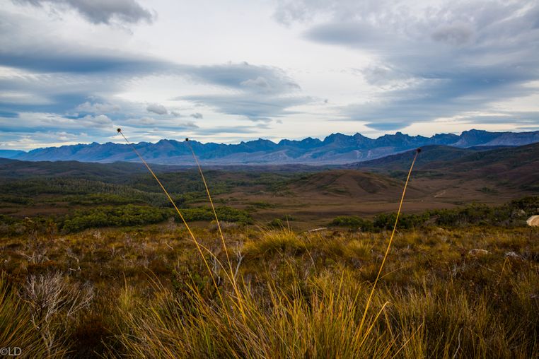 450A1346-Edit.jpg