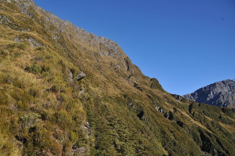 cascade 6.jpg