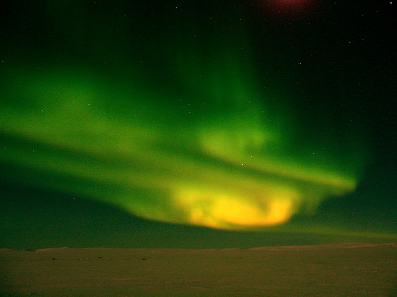 LIGHTS.jpg