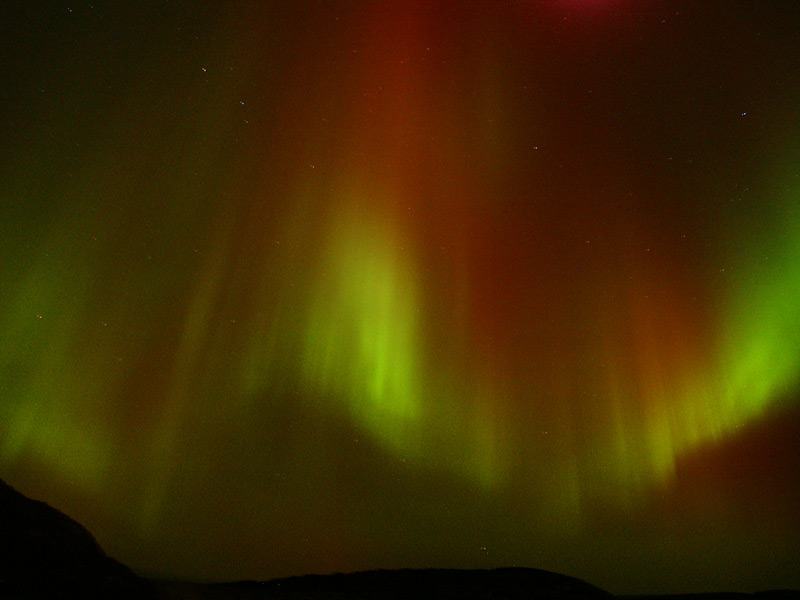 LIGHTS3.jpg