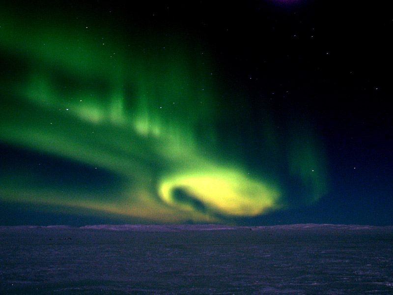 LIGHTS-1.jpg