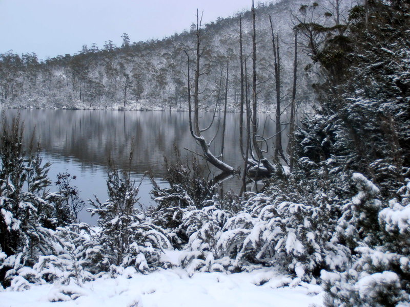 P1010249.JPG