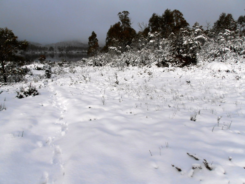 P1010253.JPG