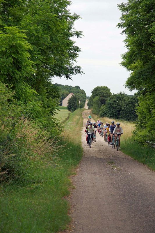 Roman Road.jpg