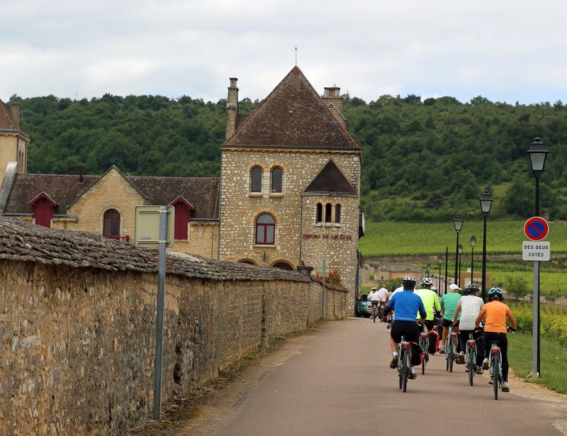 Winery Bikes.jpg