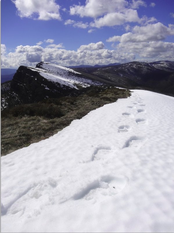 bluff snow.jpg