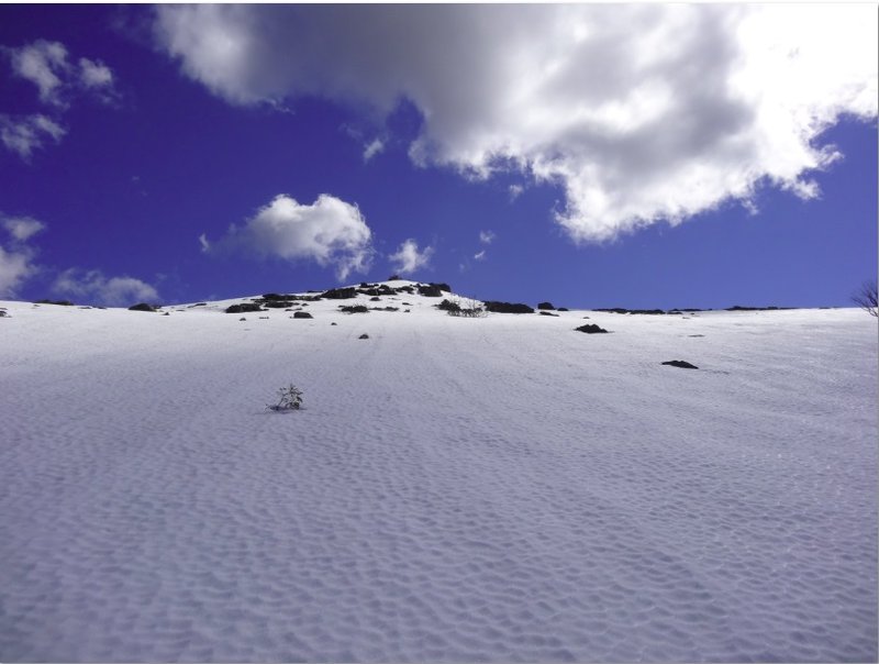 snow angle.jpg