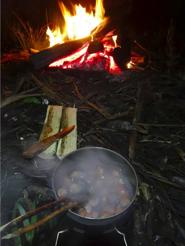 dinner.jpg