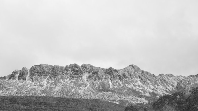DSC_8593.JPG