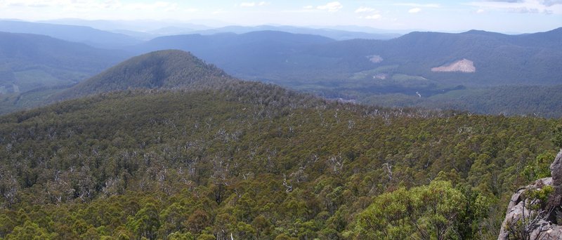 Pear Hill pano.JPG