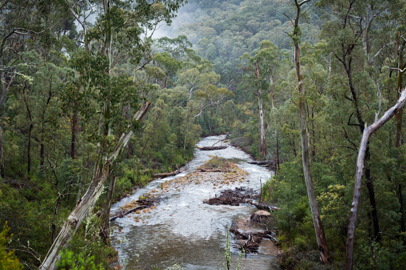 Bluff-1.jpg