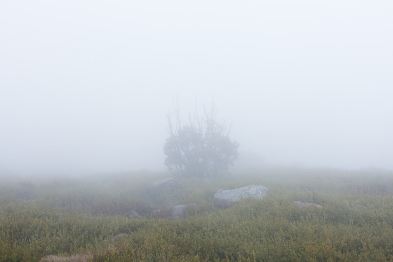 Bluff-3.jpg