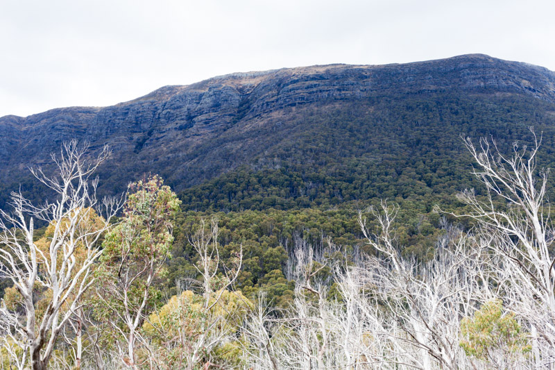 Bluff-5.jpg