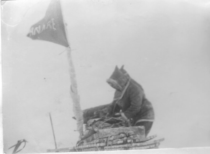 n153.jpg