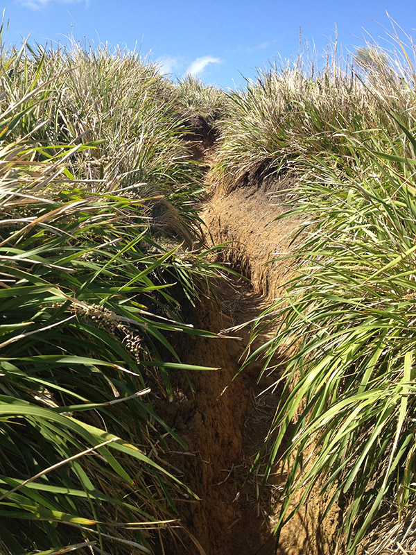Eroded Track.jpg